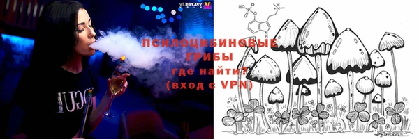 шишки Пестово