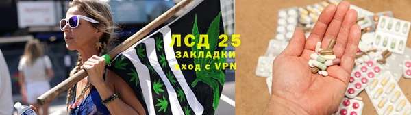 крисы Арсеньев