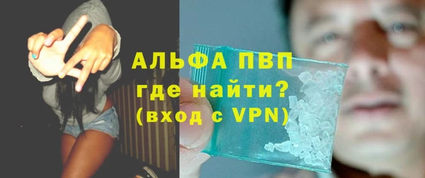 индика Аркадак