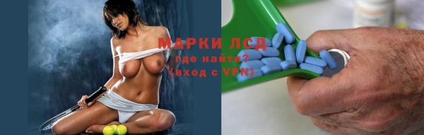 индика Аркадак