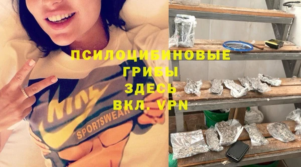 крисы Арсеньев