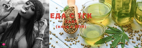 индика Аркадак