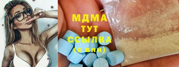 индика Аркадак