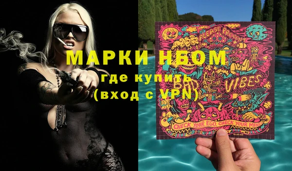 шишки Пестово