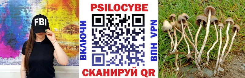 Галлюциногенные грибы Psilocybine cubensis  купить наркотик  Правдинск 